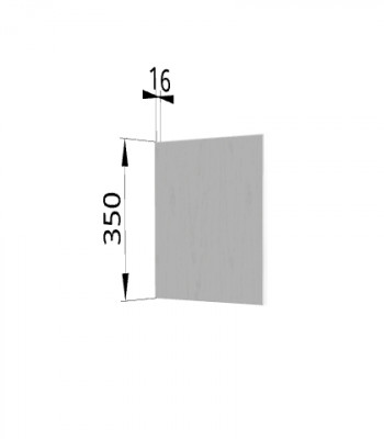 Панель торцевая (для шкафа горизонтального) ПГ Ройс (Графит софт) в Нижнекаменке - nizhnekamenka.mebel54.com | фото