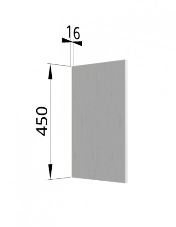 Панель торцевая (для шкафа горизонтального высокого) ВПГ Ройс (Графит софт) в Нижнекаменке - nizhnekamenka.mebel54.com | фото